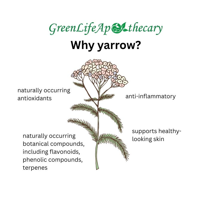 Yarrow: Skin Benefits, Traditional Uses & Herbal Skincare Guide