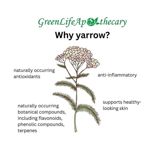 Yarrow: Skin Benefits, Traditional Uses & Herbal Skincare Guide