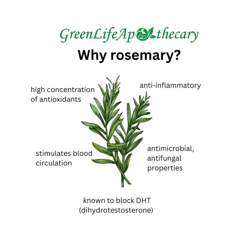 Rosemary: Skin Benefits, Antioxidants & Herbal Uses
