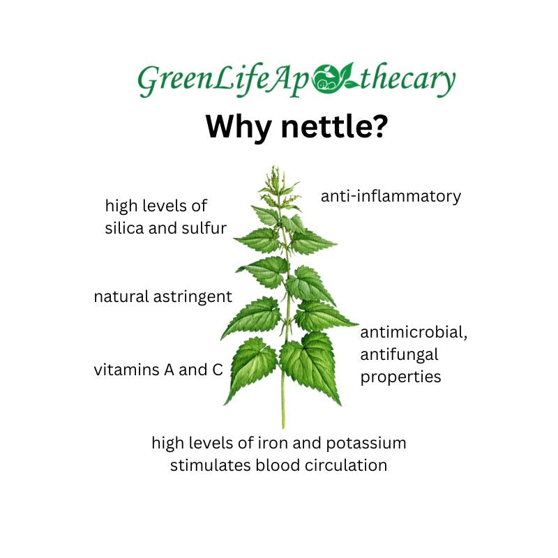Why to use nettle in haircare products